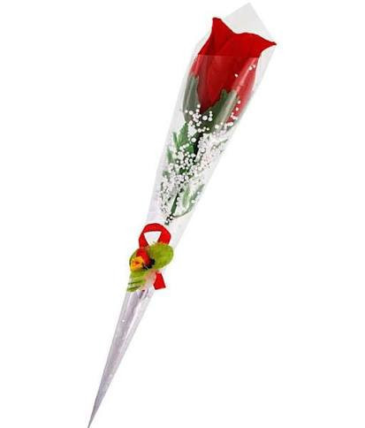 Elegant Single Red Rose Wrap